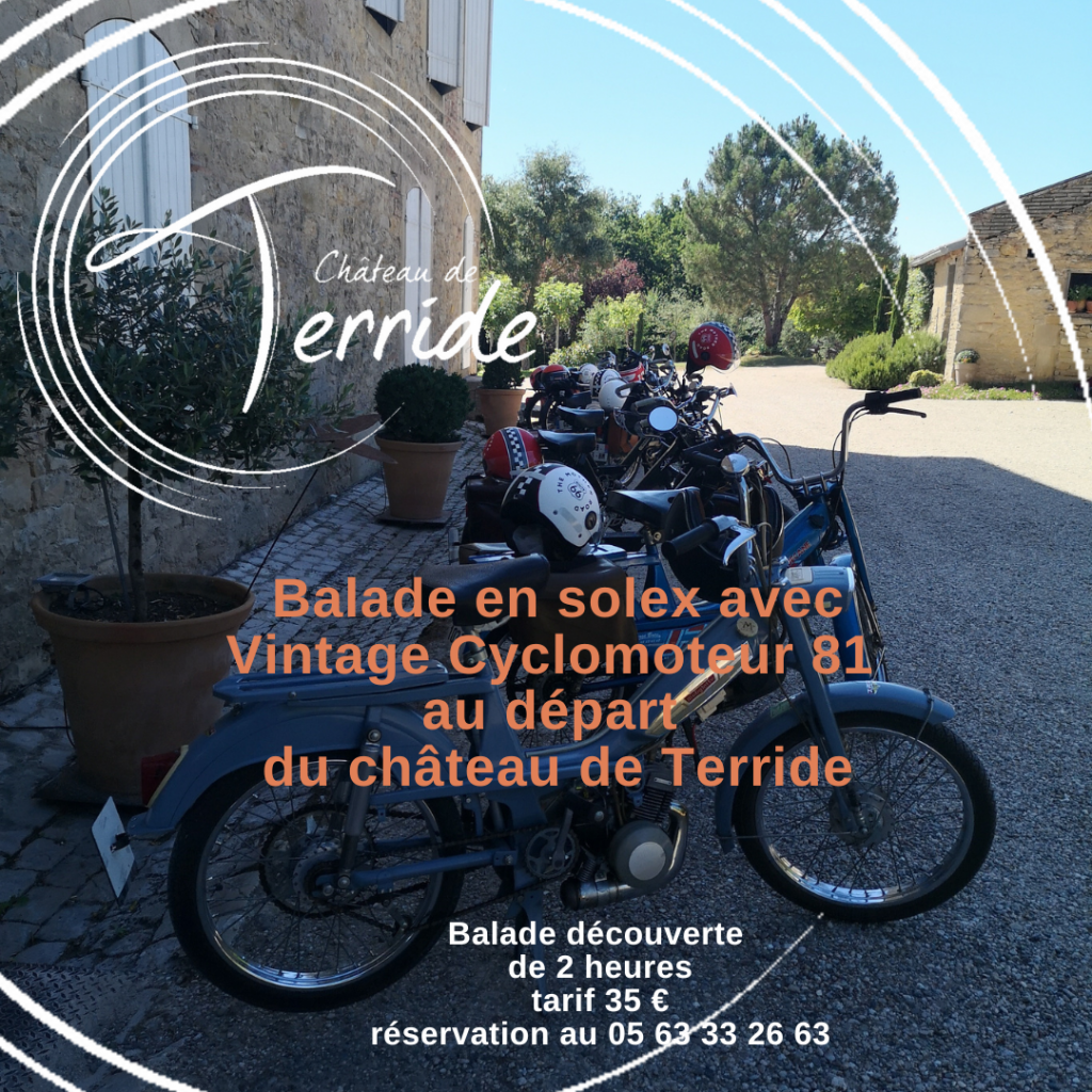 Vintage Rare Cycle Cyclomoteur Solex 1 Pédale G DEA Acier